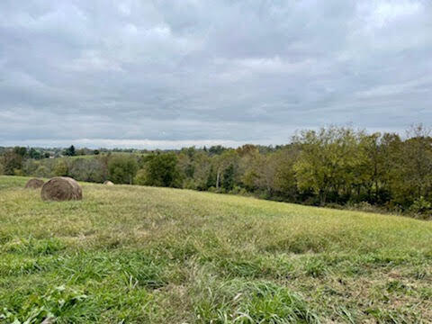 3775 Bybee Road Winchester, KY 40391 - Photo 1 of 4 bybee1