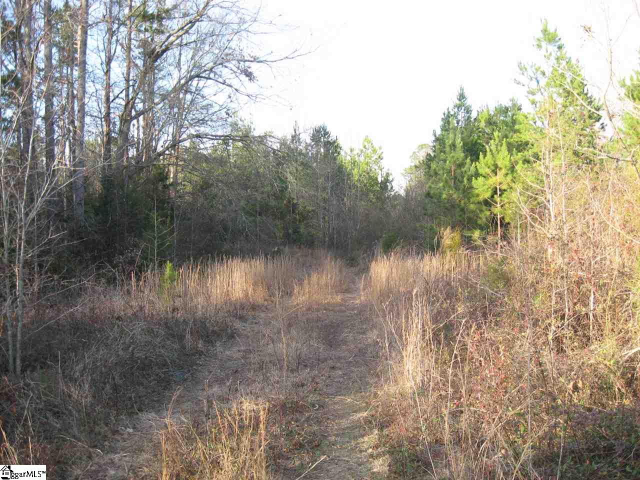 Hillside Church Road Fountain Inn, SC 29644 - Photo 11 of 21