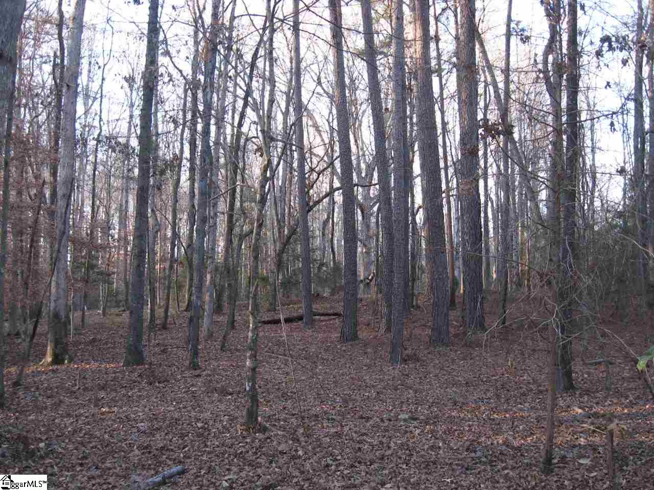 Hillside Church Road Fountain Inn, SC 29644 - Photo 13 of 21