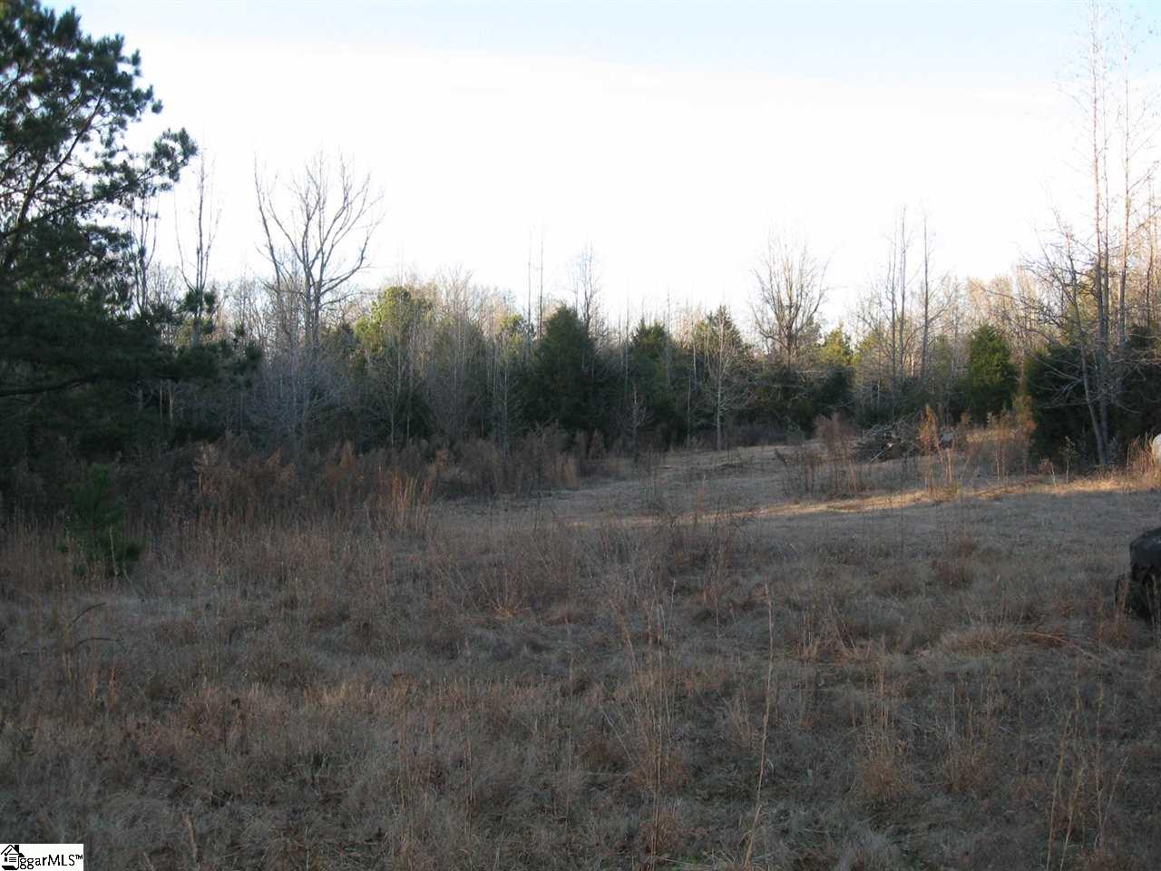 Hillside Church Road Fountain Inn, SC 29644 - Photo 15 of 21