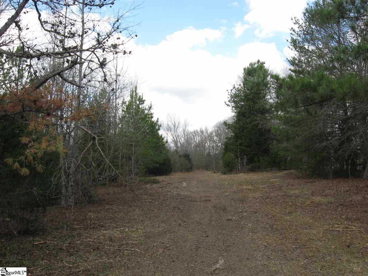 Hillside Church Road Fountain Inn, SC 29644 - Photo 17 of 21