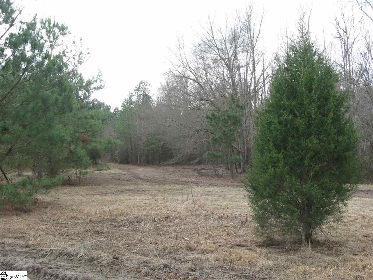 Hillside Church Road Fountain Inn, SC 29644 - Photo 18 of 21