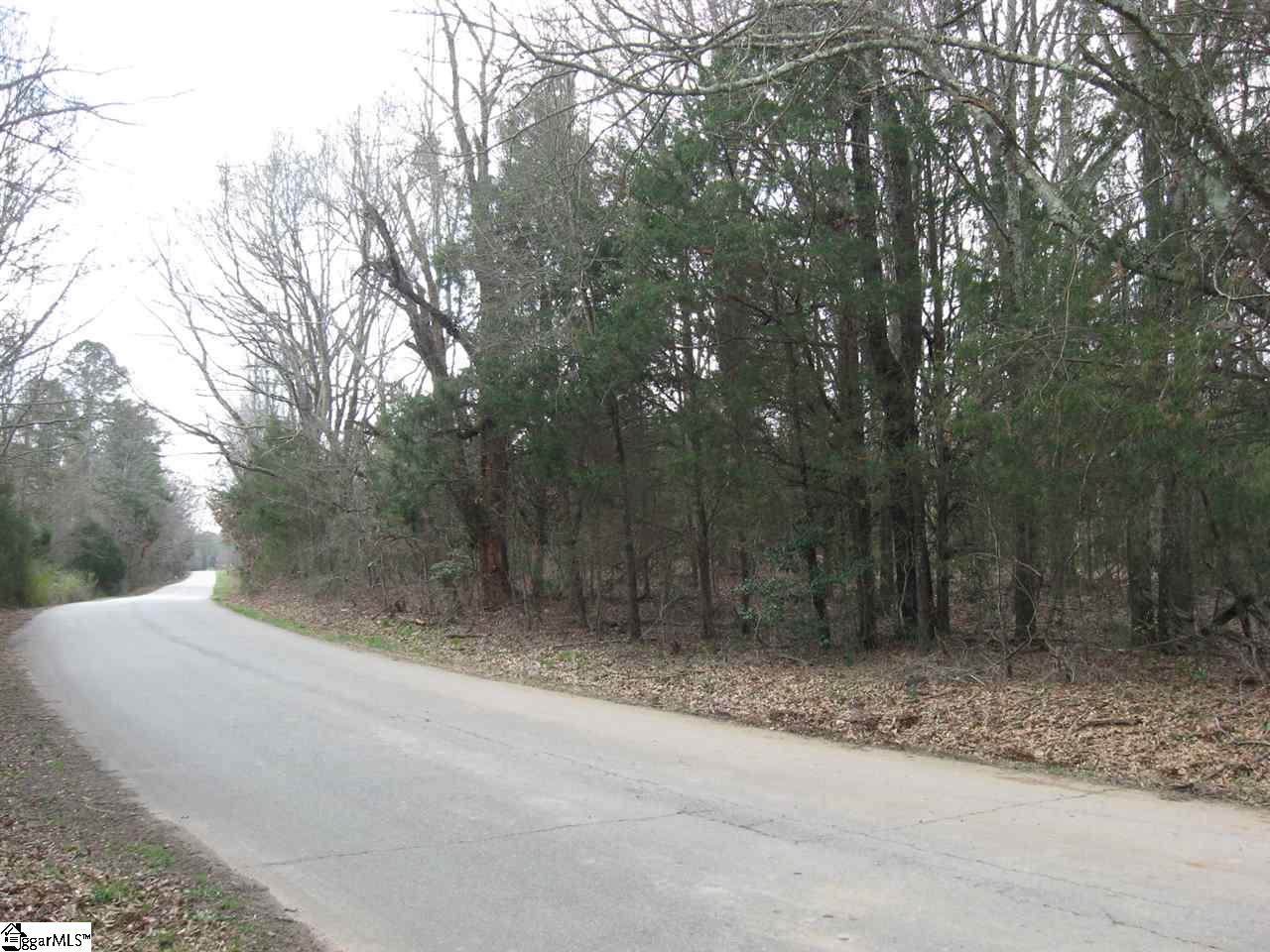 Hillside Church Road Fountain Inn, SC 29644 - Photo 19 of 21