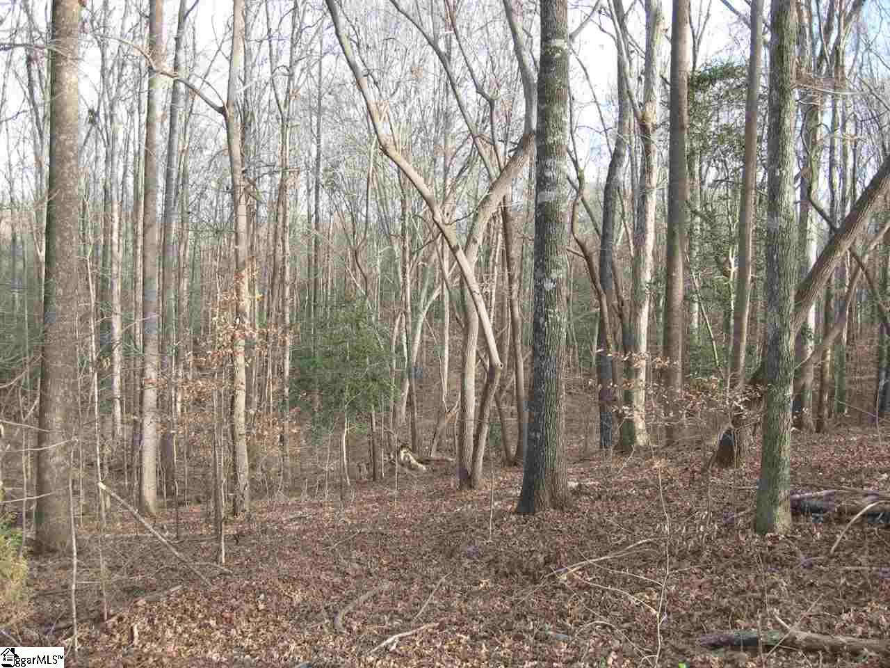 Hillside Church Road Fountain Inn, SC 29644 - Photo 3 of 21