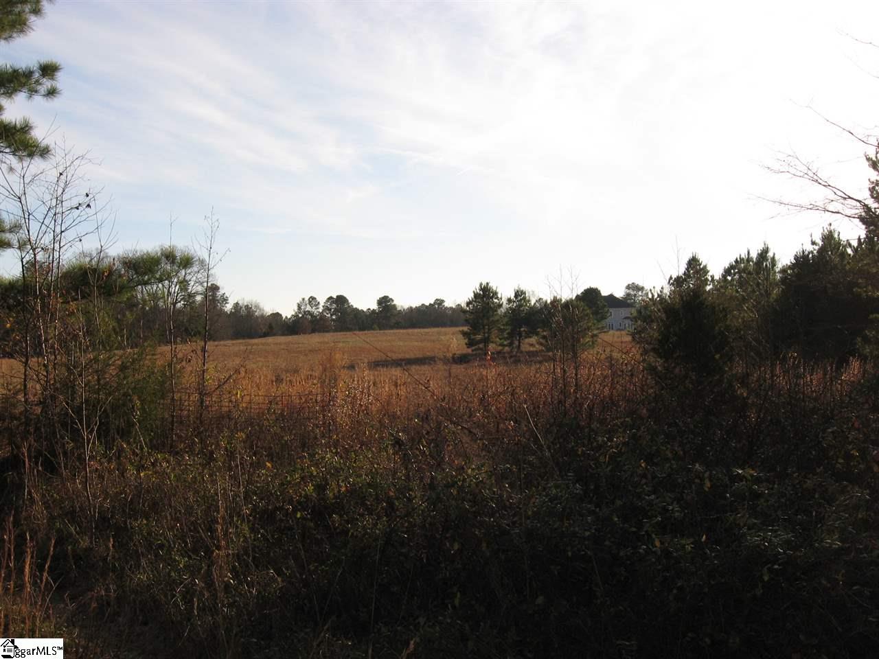 Hillside Church Road Fountain Inn, SC 29644 - Photo 8 of 21