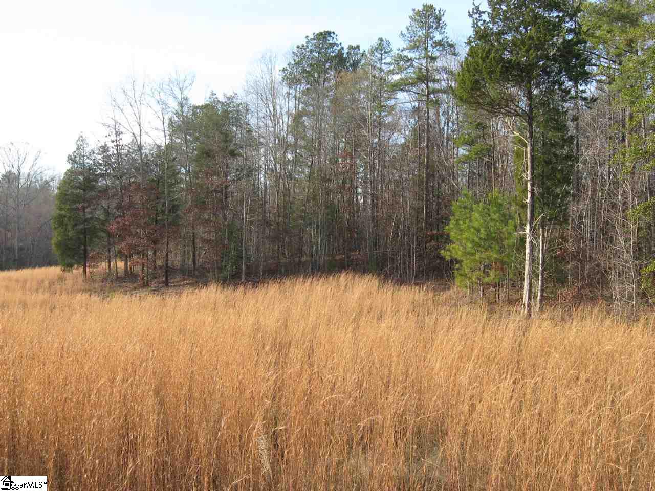 Hillside Church Road Fountain Inn, SC 29644 - Photo 9 of 21