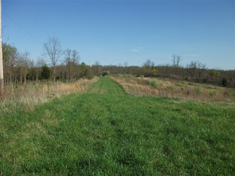 448 Hines Road West Union, OH 45693 - Photo 1 of 1