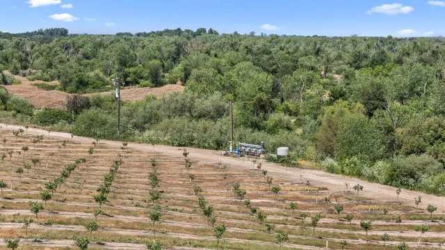 a view of a backyard of a house