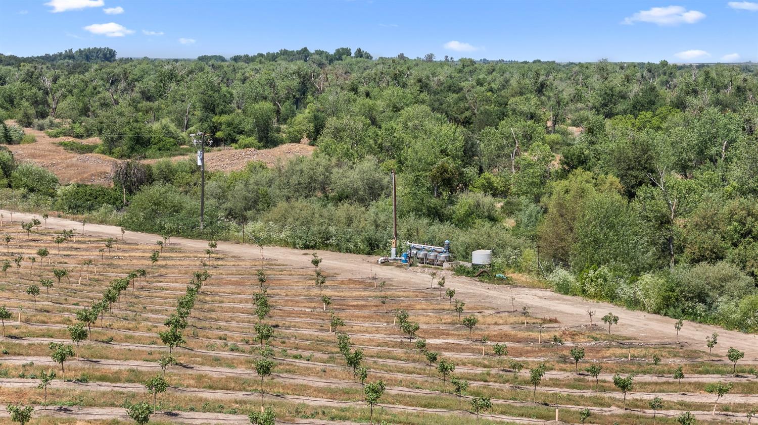 15743 Allen Road Snelling, CA 95369 - Photo 15 of 24 a view of a backyard of a house