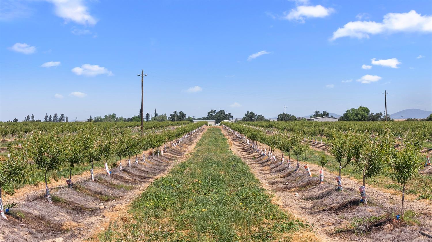 15743 Allen Road Snelling, CA 95369 - Photo 19 of 24 a view of a garden with an outdoor space