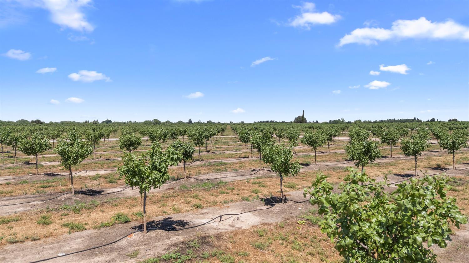 15743 Allen Road Snelling, CA 95369 - Photo 20 of 24 a view of a street with houses