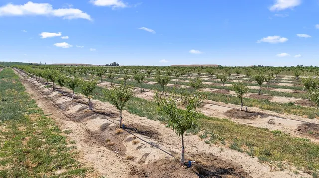 a view of a city with an ocean view