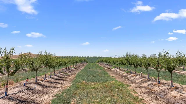 a view of a lake with a yard