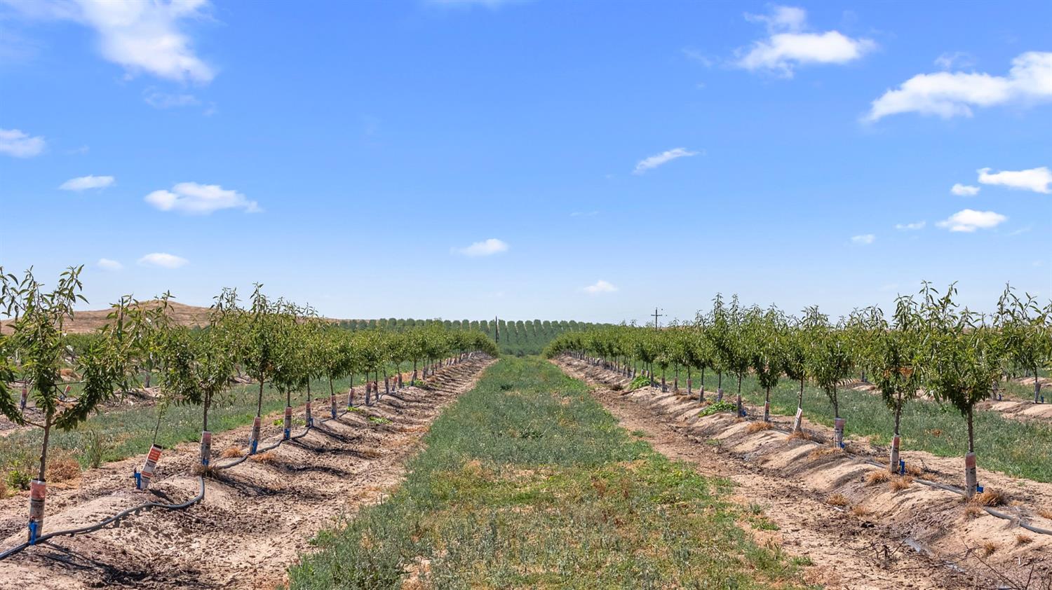 15743 Allen Road Snelling, CA 95369 - Photo 8 of 24 a view of a lake with a yard