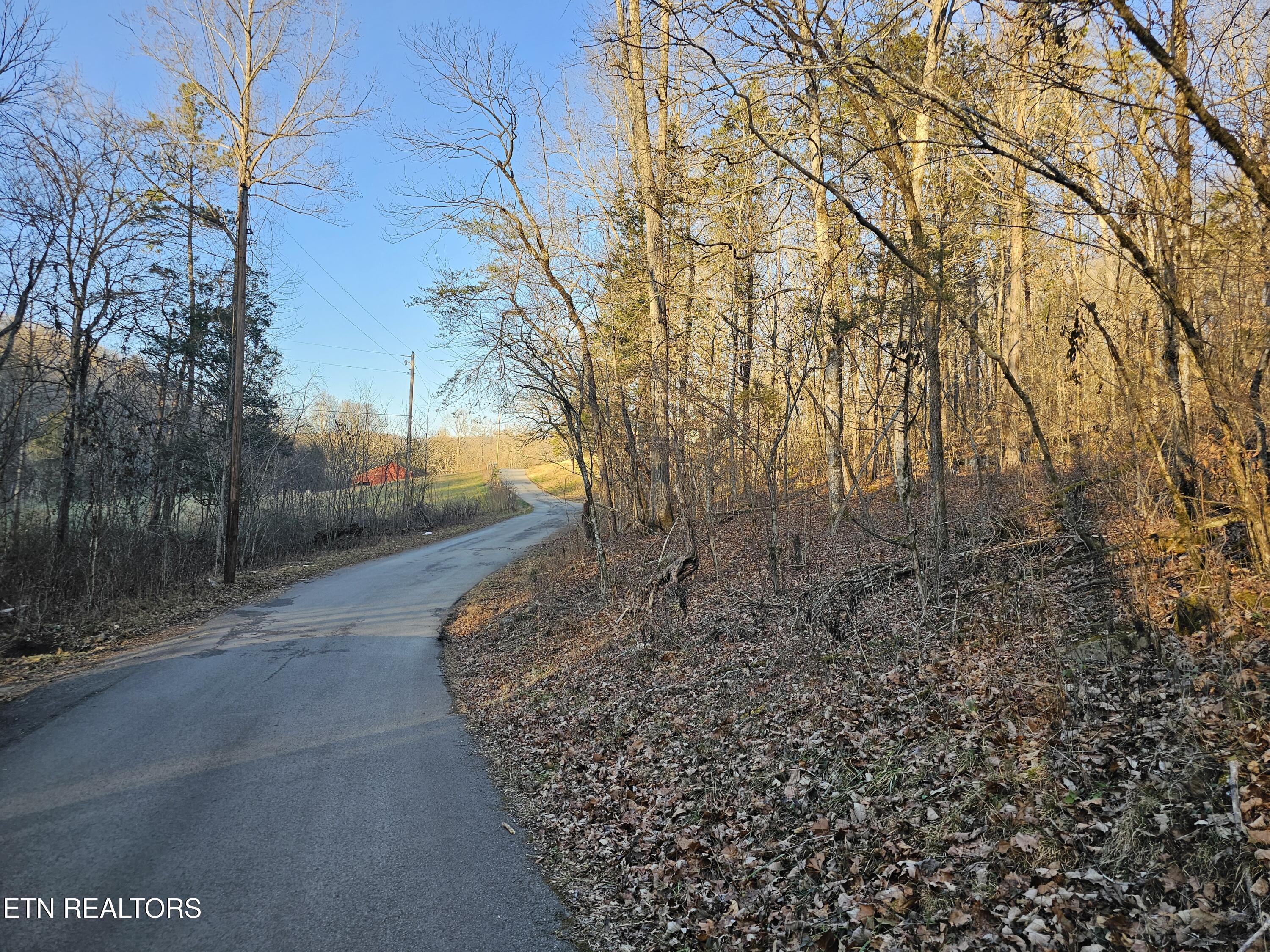 Blue Springs Road Speedwell, TN 37870 - Photo 2 of 6 20250109_163903