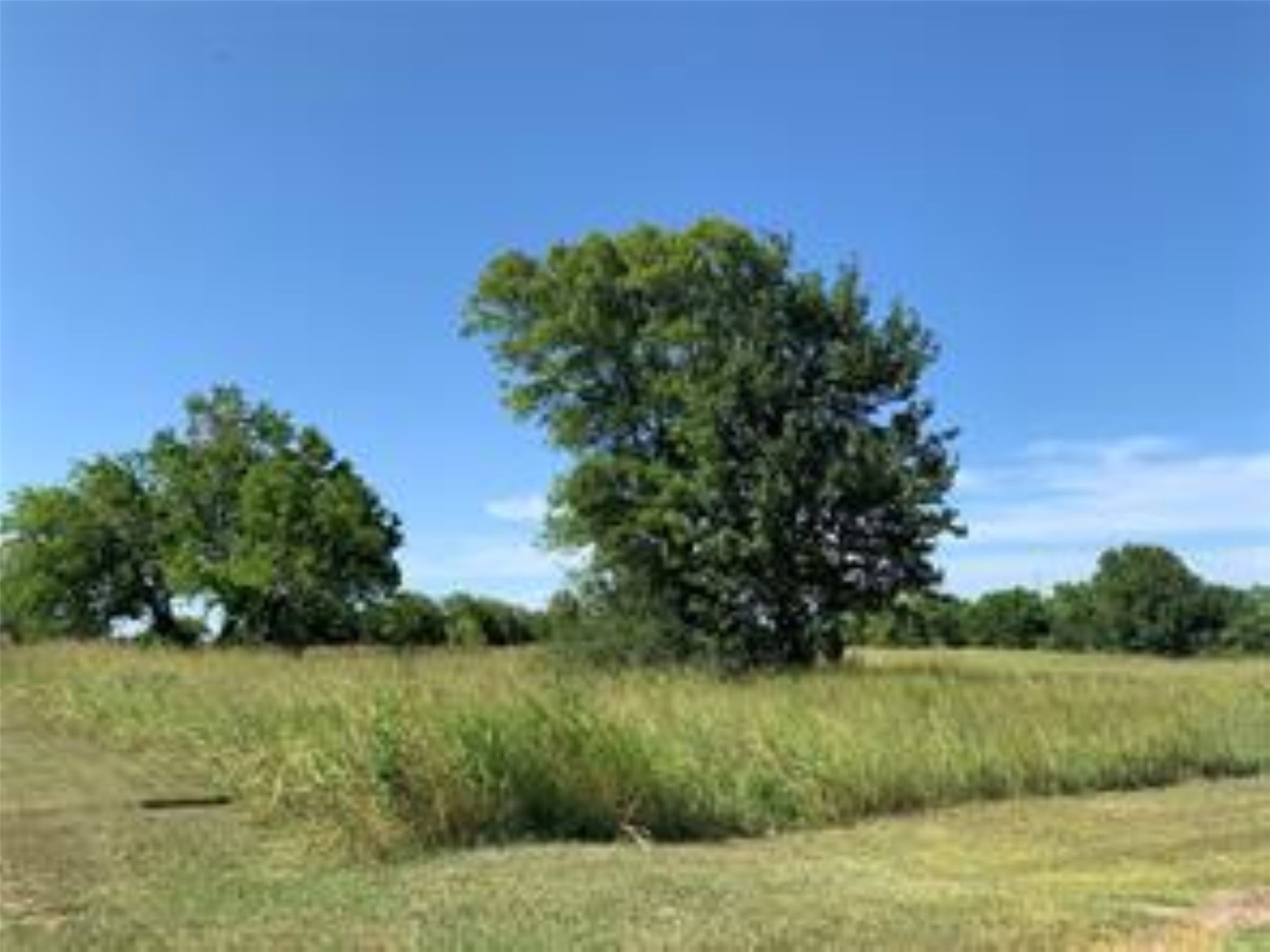 0 Penny Lane Santa Fe, TX 77510 - Photo 2 of 4 a view of a lake