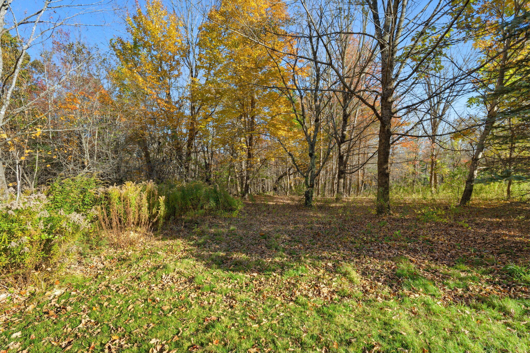 1583 Appleton Ridge Road Appleton, ME 04862 - Photo 31 of 39 40-web-or-mls-1583-appleton-ridge-rd