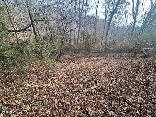 139 Manor Road Clinton, TN 37716 - Photo 14 of 20 IMG_0754