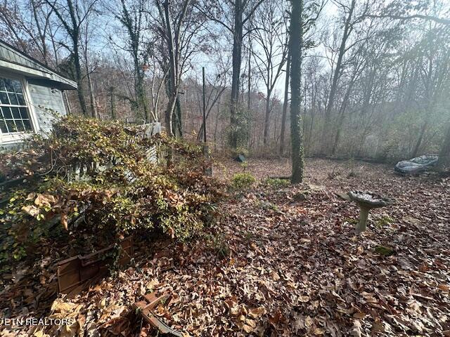 139 Manor Road Clinton, TN 37716 - Photo 20 of 20 IMG_0761