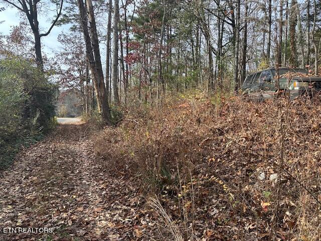 139 Manor Road Clinton, TN 37716 - Photo 4 of 20 IMG_0744