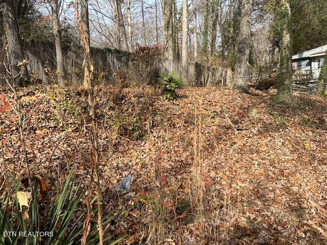 139 Manor Road Clinton, TN 37716 - Photo 5 of 20 IMG_0745