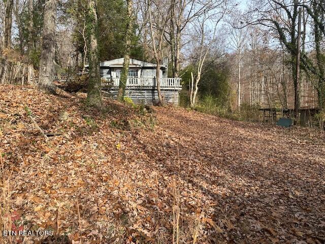 139 Manor Road Clinton, TN 37716 - Photo 6 of 20 IMG_0746