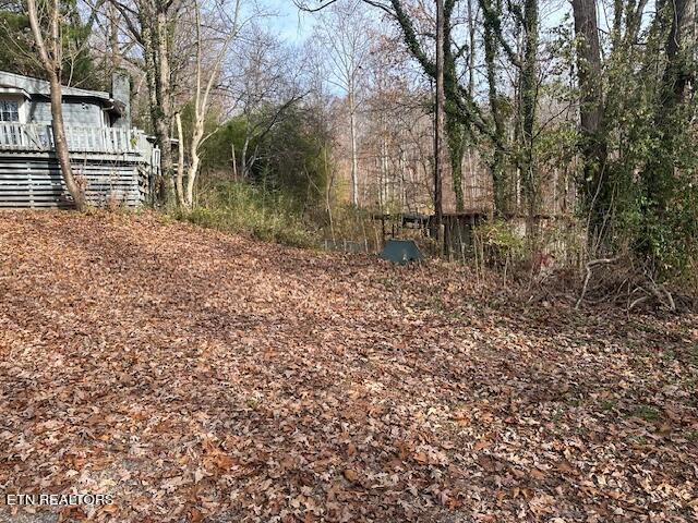 139 Manor Road Clinton, TN 37716 - Photo 7 of 20 IMG_0747