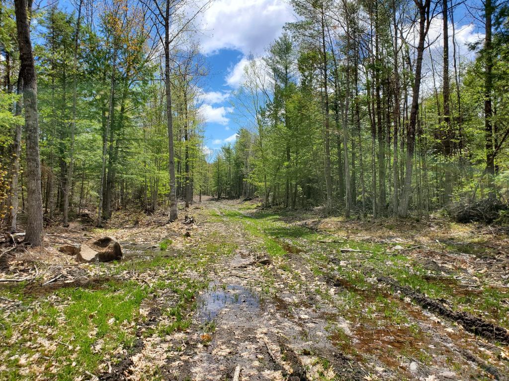 M4-l61 Intervale Road New Sharon, ME 04955 - Photo 9 of 21 20190521_105505Spring