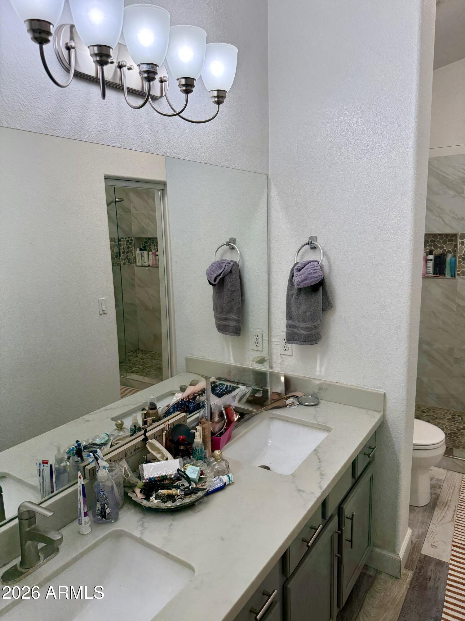 599 West Colt Road Chandler, AZ 85225 - Photo 11 of 22 IMG_4190