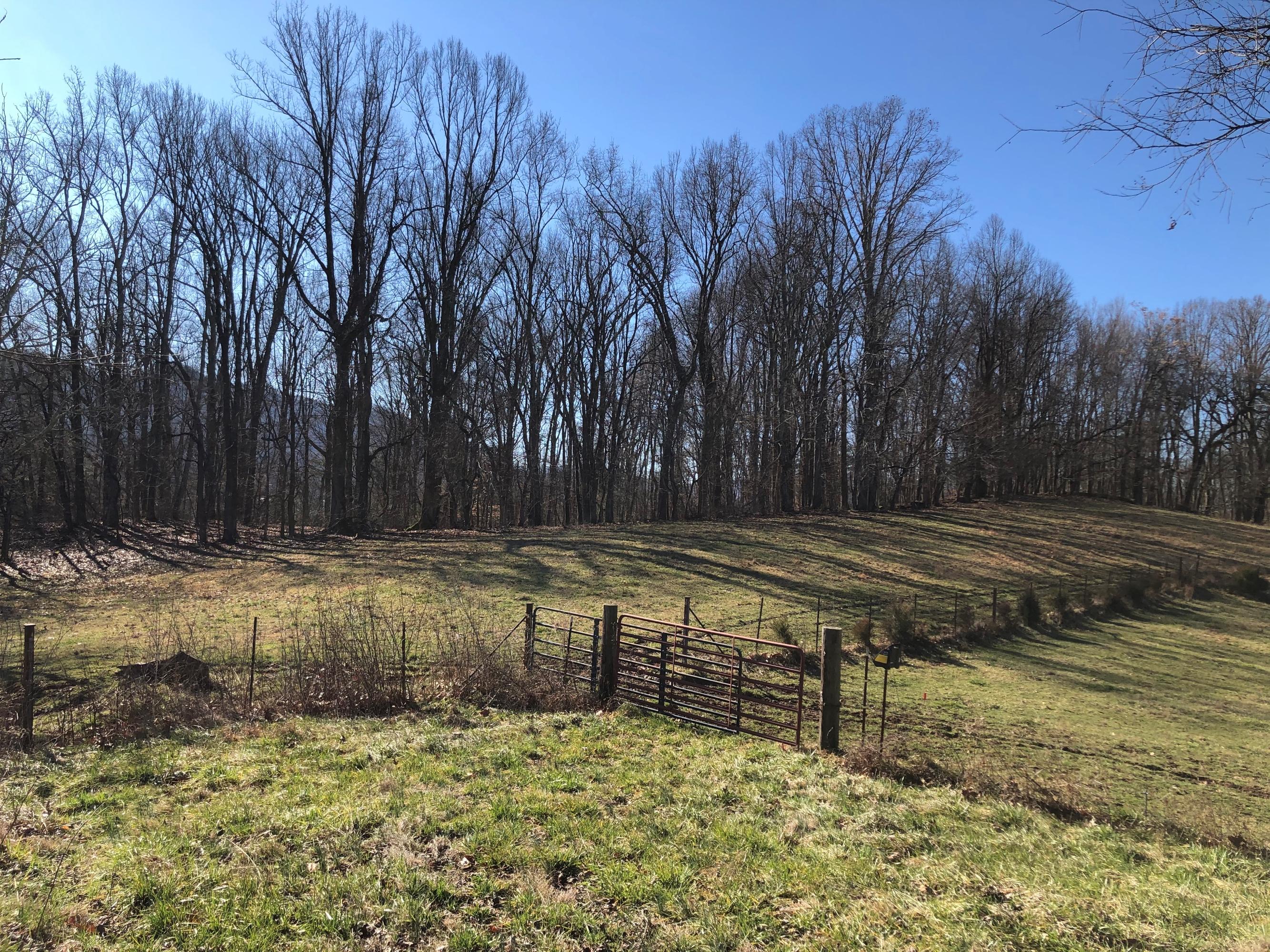 227 Cecil Gray Road Jonesborough, TN 37659 - Photo 6 of 8 IMG_5314