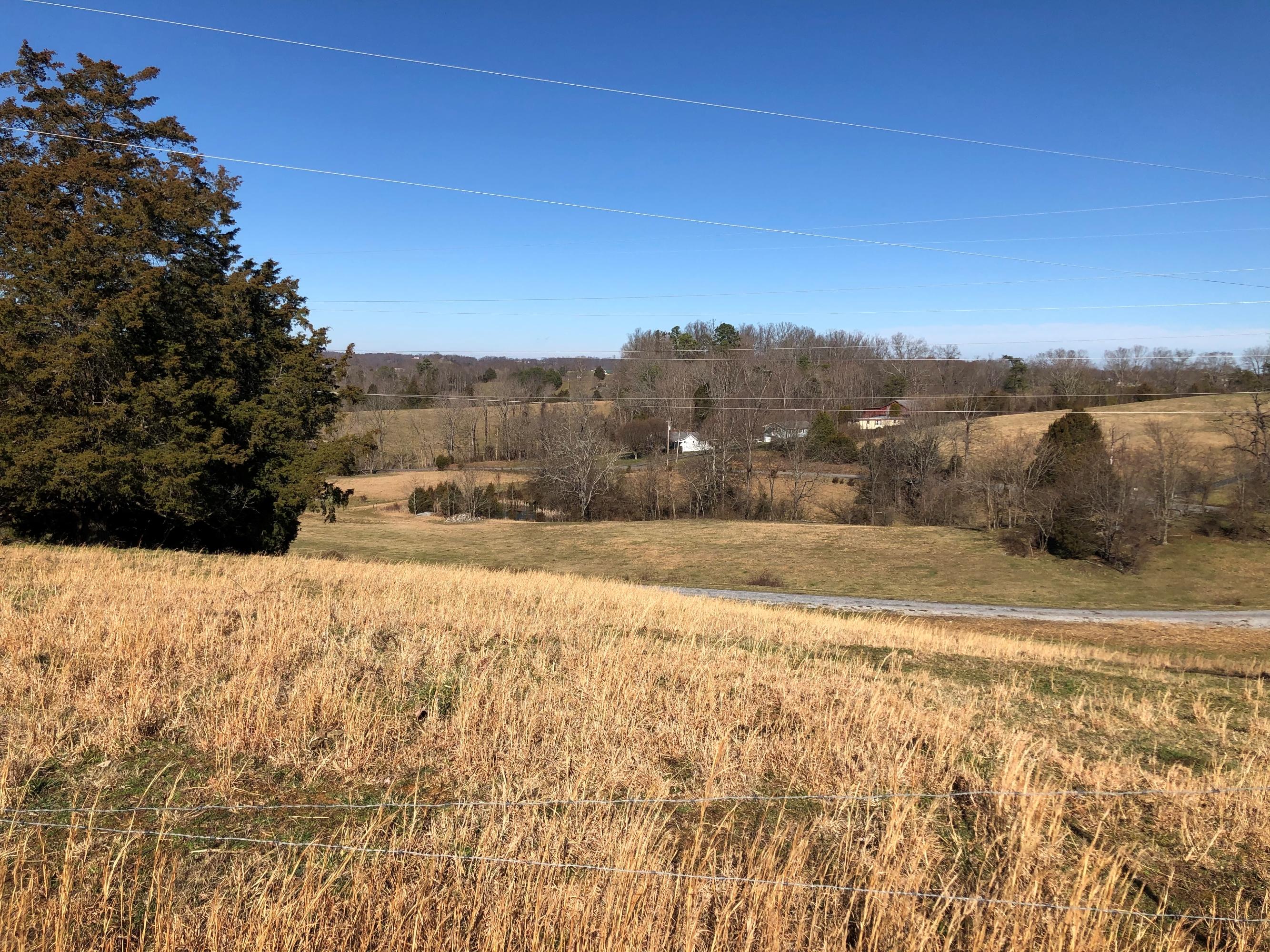 227 Cecil Gray Road Jonesborough, TN 37659 - Photo 8 of 8 IMG_5318