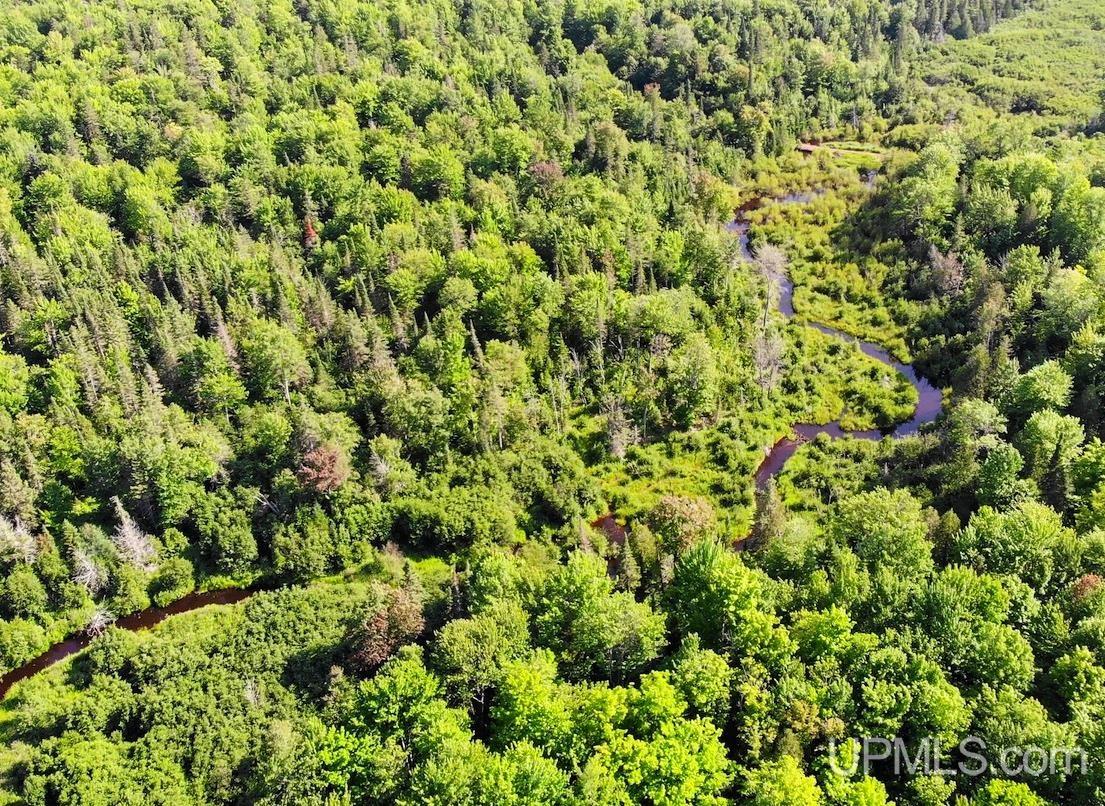 31357 Mud Lake Road Lake Linden, MI 49945 - Photo 6 of 47