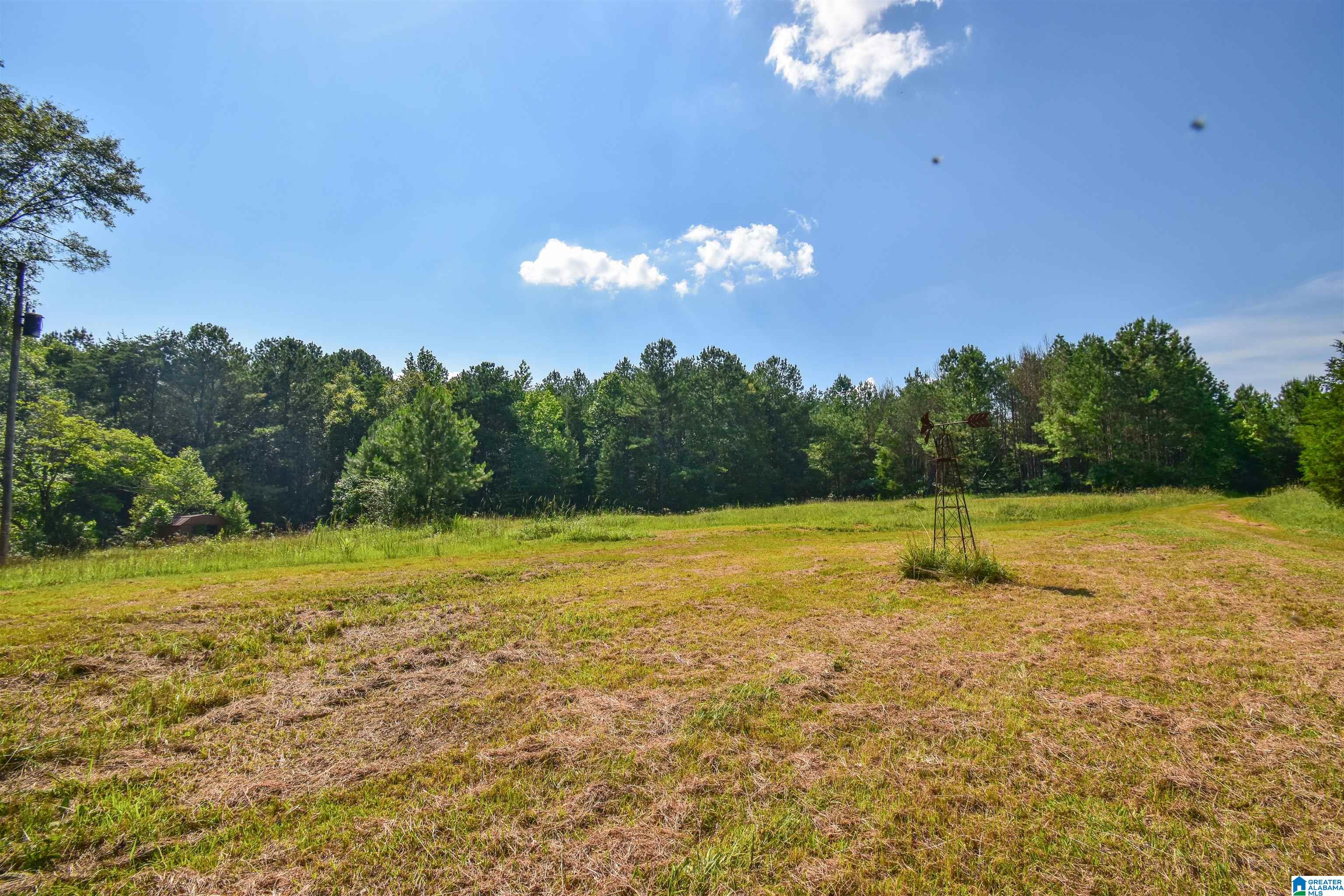 373 Myers Road Berry, AL 35546 - Photo 58 of 74