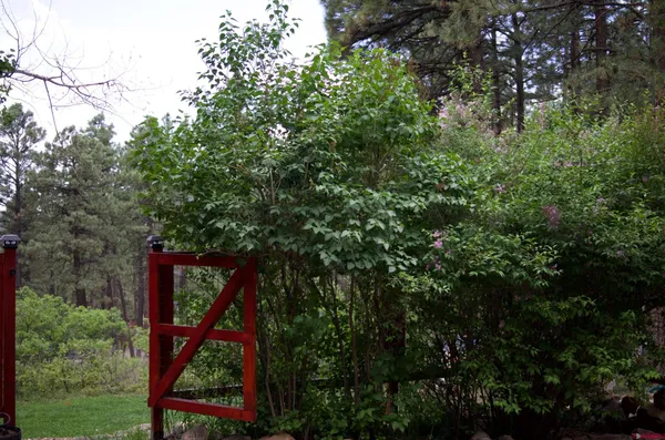 $599,900 | 954 Pinetree Drive, Bayfield, CO 81122