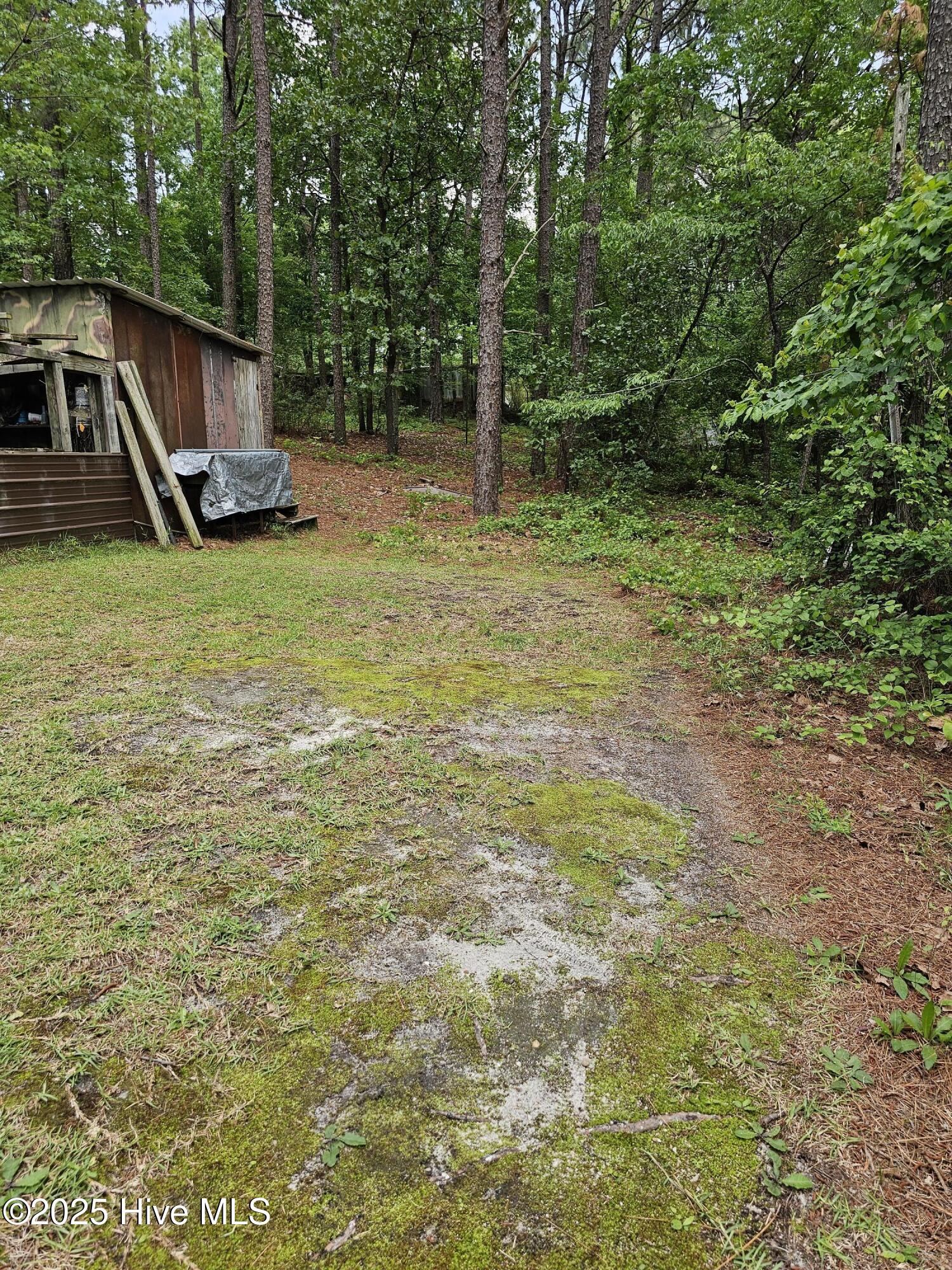 181 Joel Road Carthage, NC 28327 - Photo 19 of 33 20250515_140301