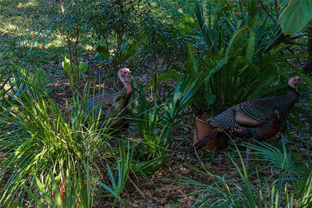 $425,000 | 3652 Hurlbut Circle, Lake Wales, FL 33898