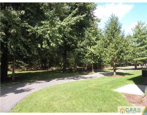 223 Nebula Road Piscataway, NJ 08854 - Photo 3 of 17