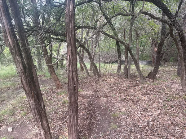 a view of a yard