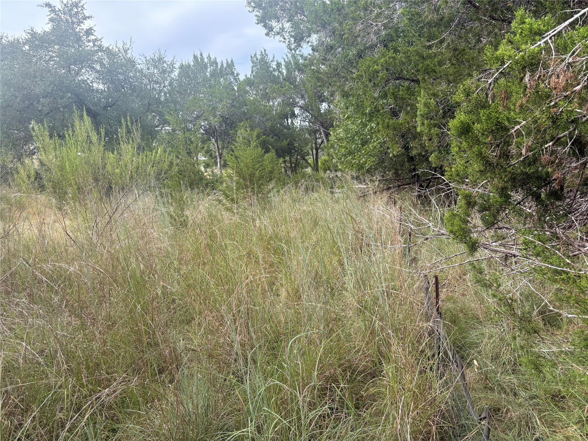 1803 Lipan Trail Austin, TX 78733 - Photo 15 of 20 a view of a yard