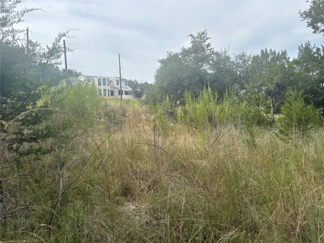 a view of a lake from a yard