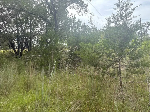 a view of outdoor space and trees