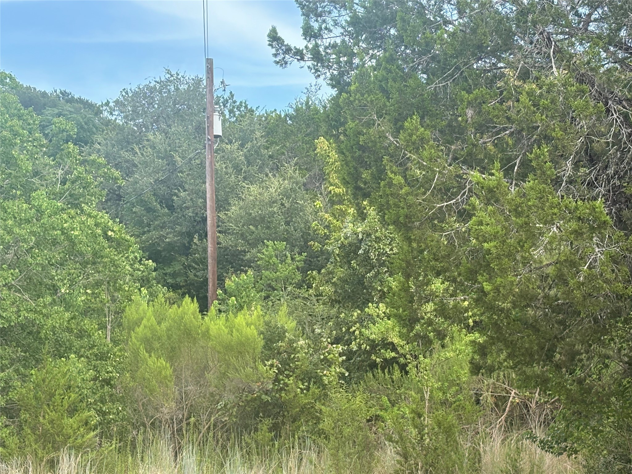 1803 Lipan Trail Austin, TX 78733 - Photo 20 of 20 a view of a yard