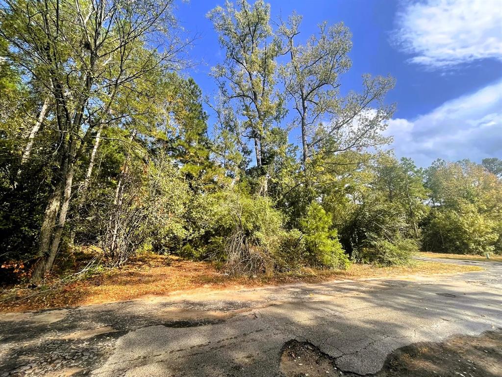 307 Cherokee Drive Trinity, TX 75862 - Photo 11 of 18 a view of a yard with large trees