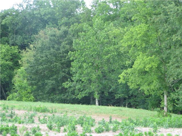 6223 State Line Road Adams, TN 37010 - Photo 1 of 2