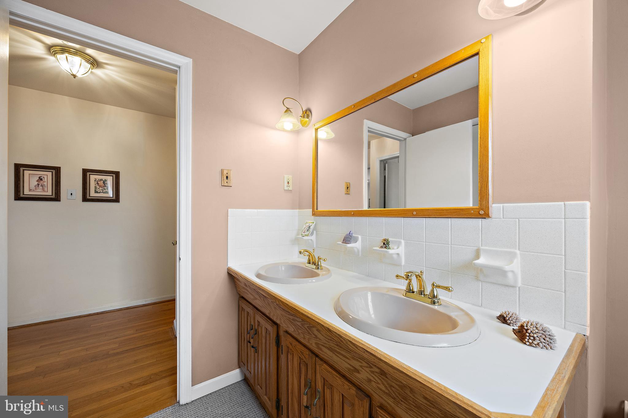 509 Holly Knoll Road Hockessin, DE 19707 - Photo 29 of 34 a bathroom with a sink and a mirror