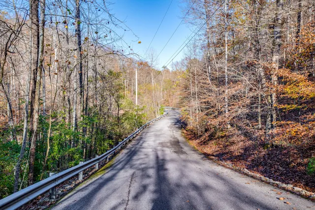 a view of a garden with pathway