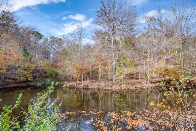 a view of city and mountain