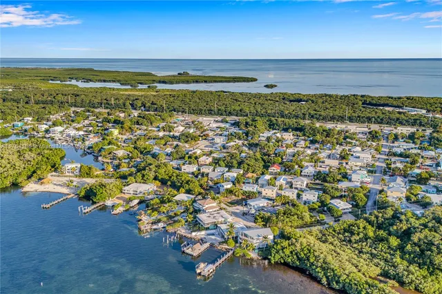 a view of ocean with palm trees