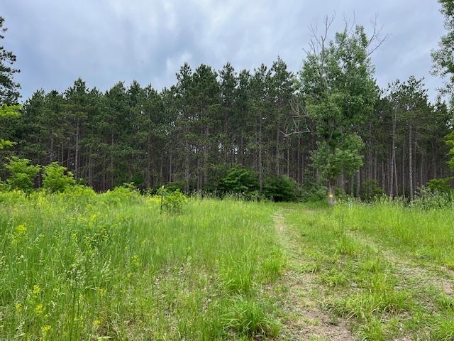 5193 Samels Road Williamsburg, MI 49690 - Photo 25 of 34