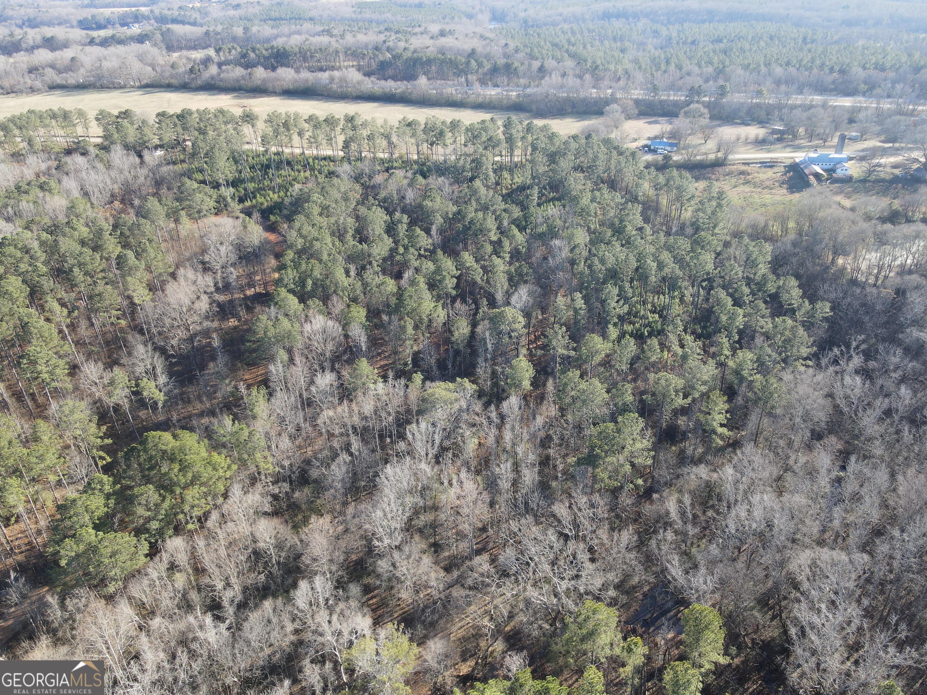 0 Baldwin Dairy Road Buckhead, GA 30625 - Photo 1 of 18